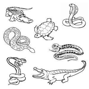 planse de colorat natura